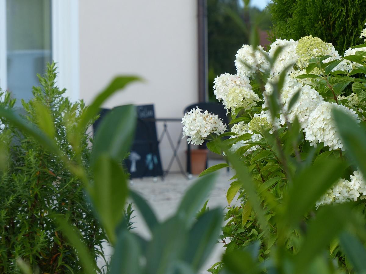 Sana E Salva Apartment Eckersdorf Ngoại thất bức ảnh